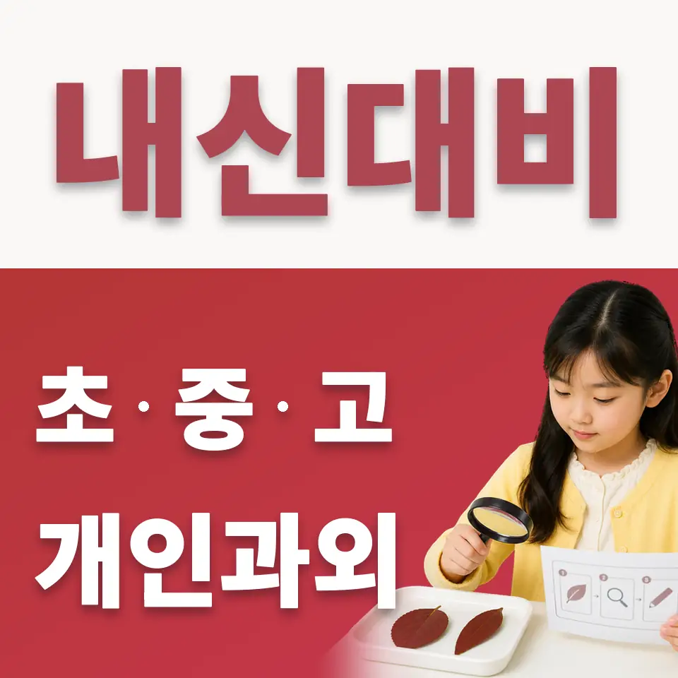 신풍동 초등 수학과외 학습 안내