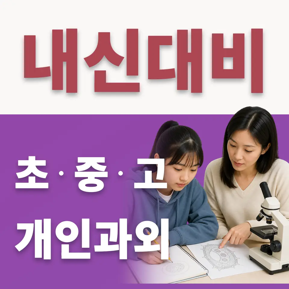 노온사동 초등 수학과외 학습 안내
