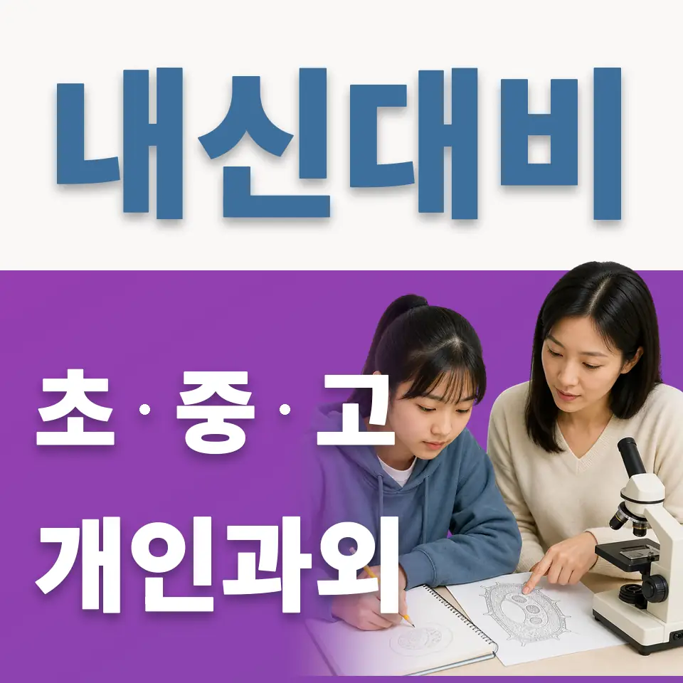 풍도동 초등 영어과외 학습 안내