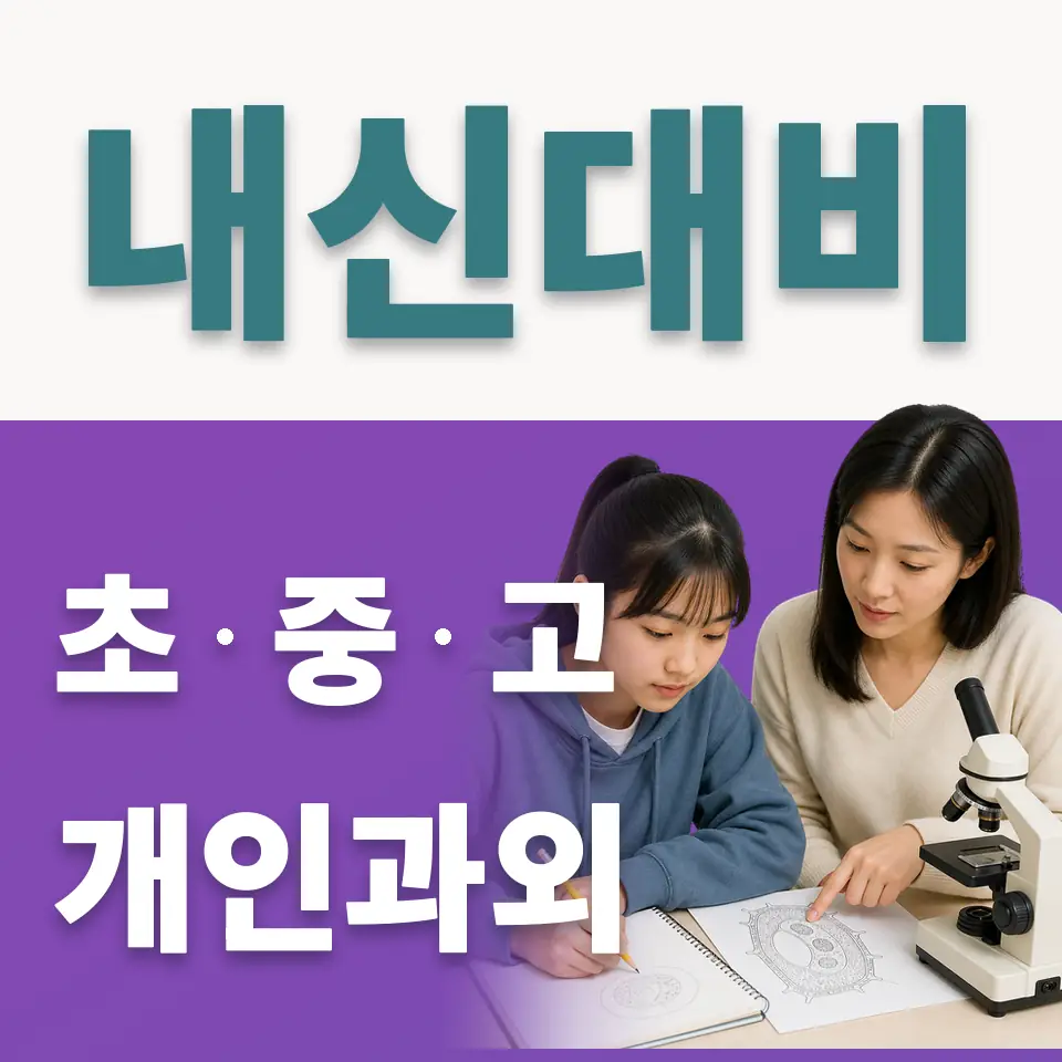 수청동 초등 사회과외 학습 안내