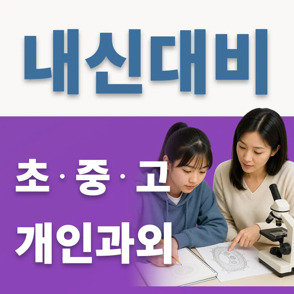 능곡동 초등 영어과외 학습 안내