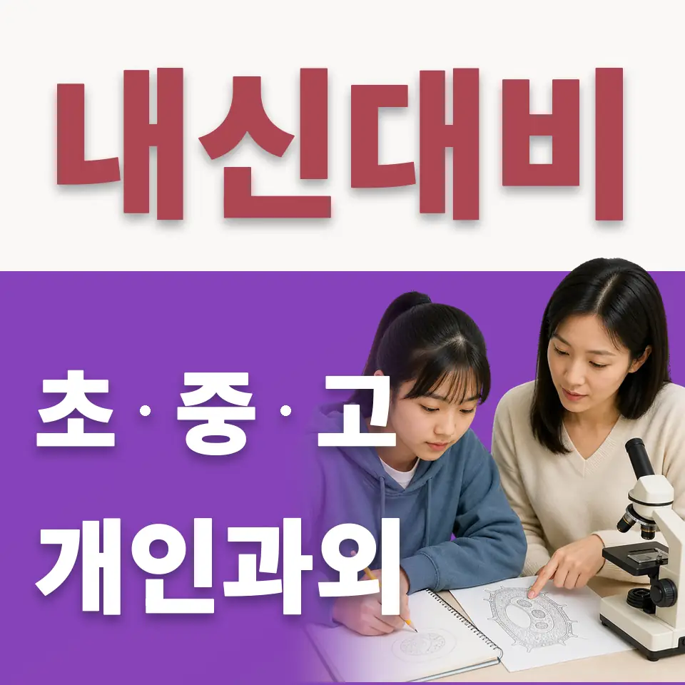 도마교동 초등 수학과외 학습 안내
