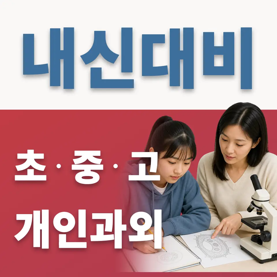 기안동 중학생 영어과외 학습 안내