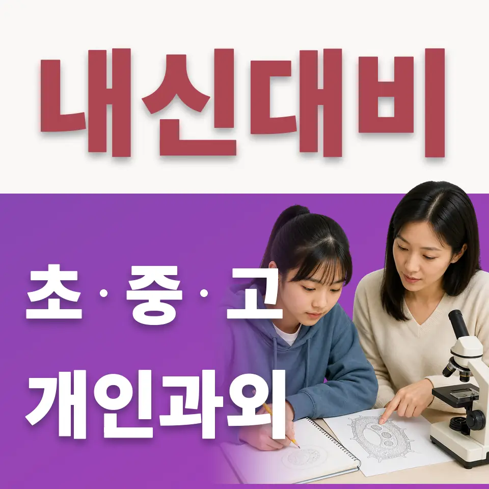 진안동 초등 수학과외 학습 안내