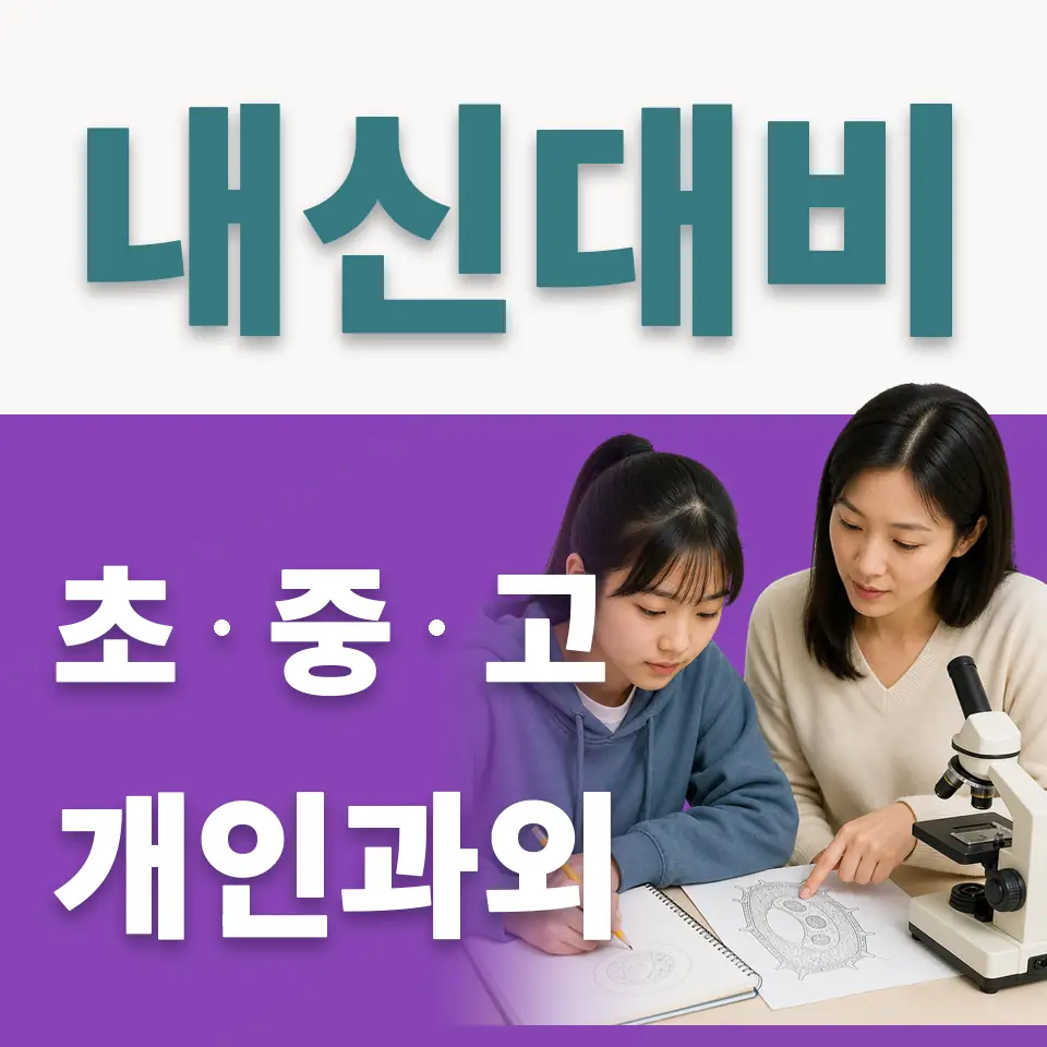 금곡동 고등 사회과외 학습 안내