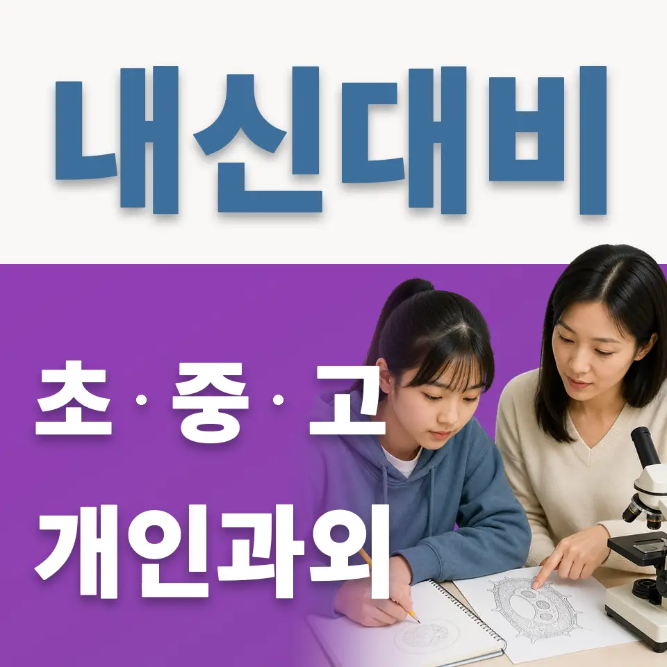 양벌동 초등 영어과외 학습 안내