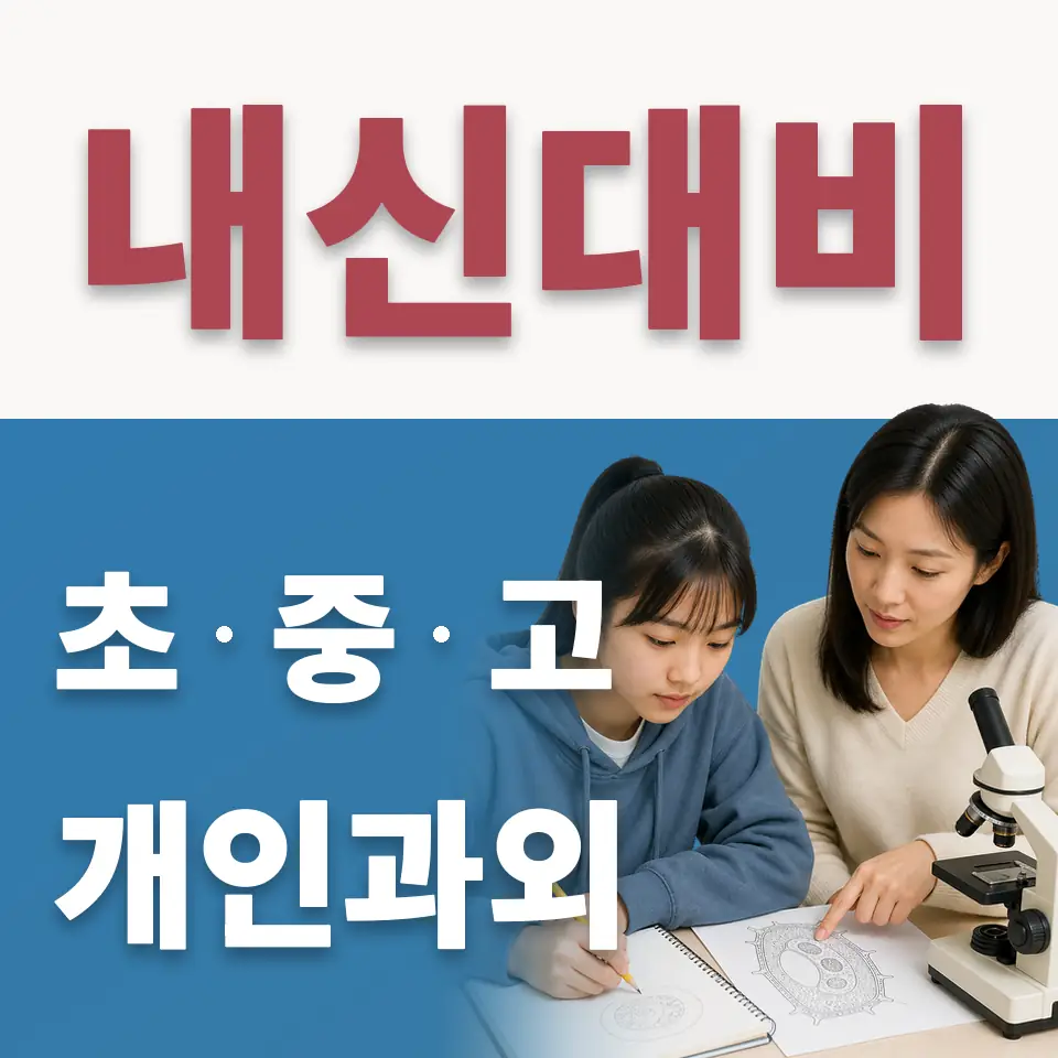 대하초 수학과외 학습 안내