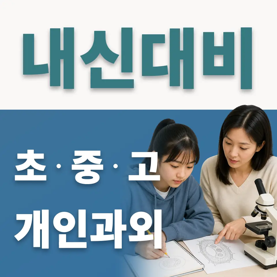 회정초 사회과외 학습 안내