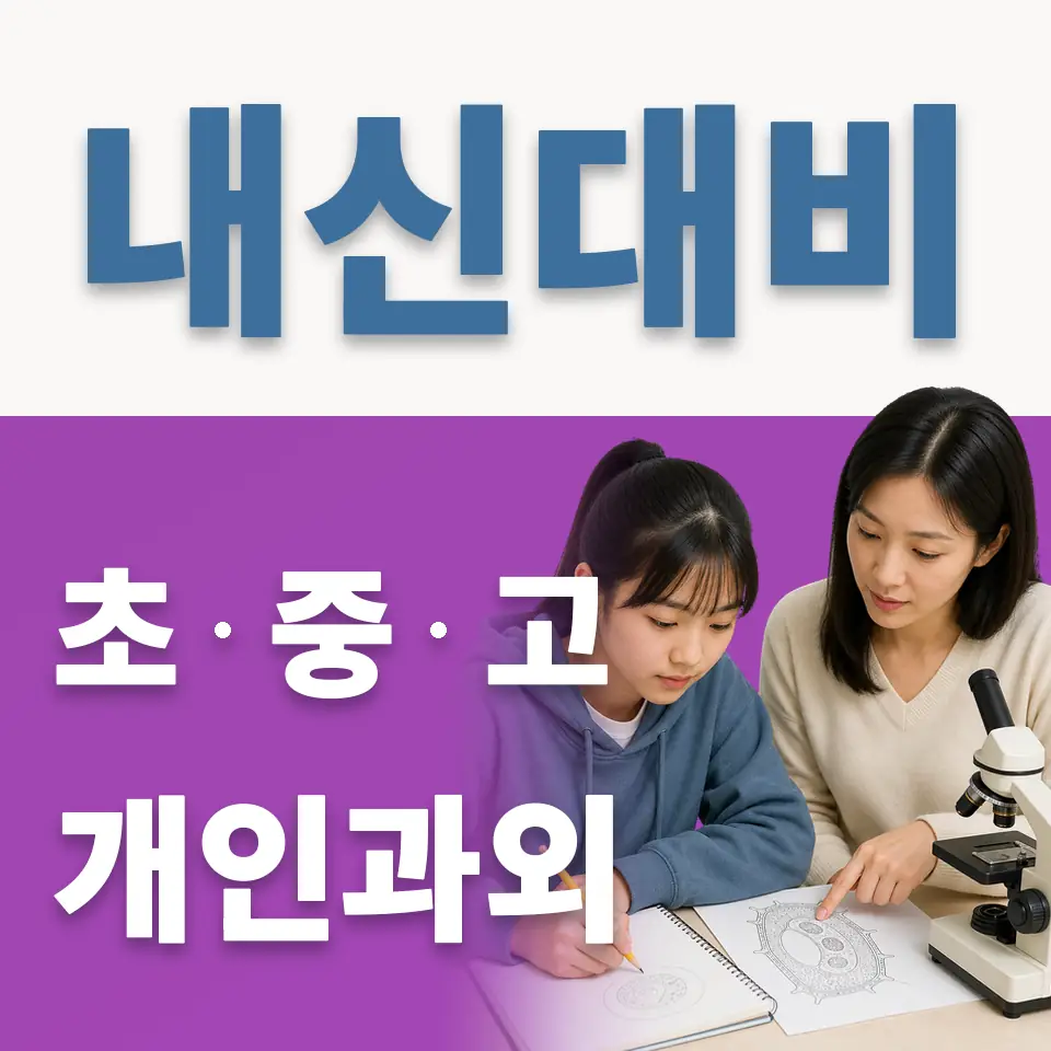 지효초 영어과외 학습 안내