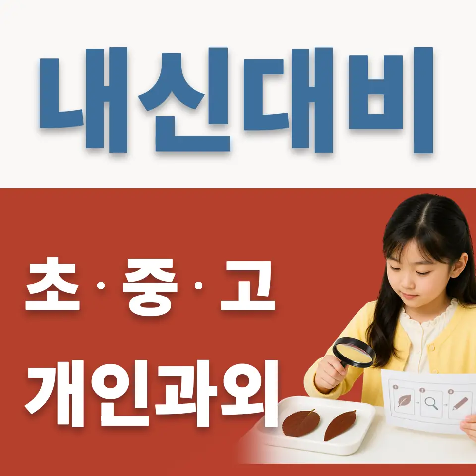 관모초 과외 학습 안내