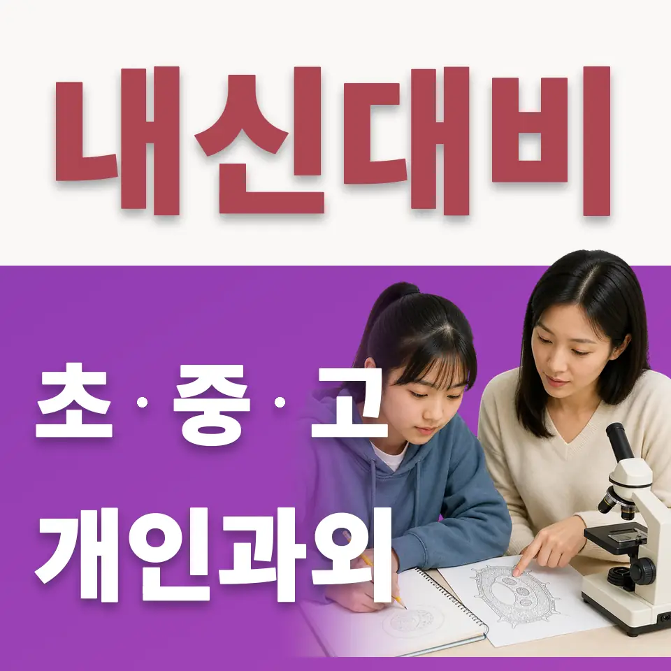용인솔빛초 수학과외 학습 안내