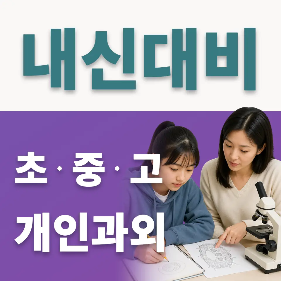 체부동 초등 사회과외 학습 안내
