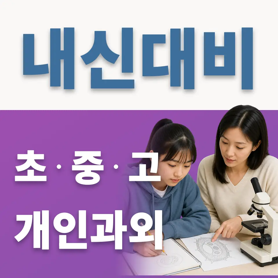 무교동 고등 영어과외 학습 안내