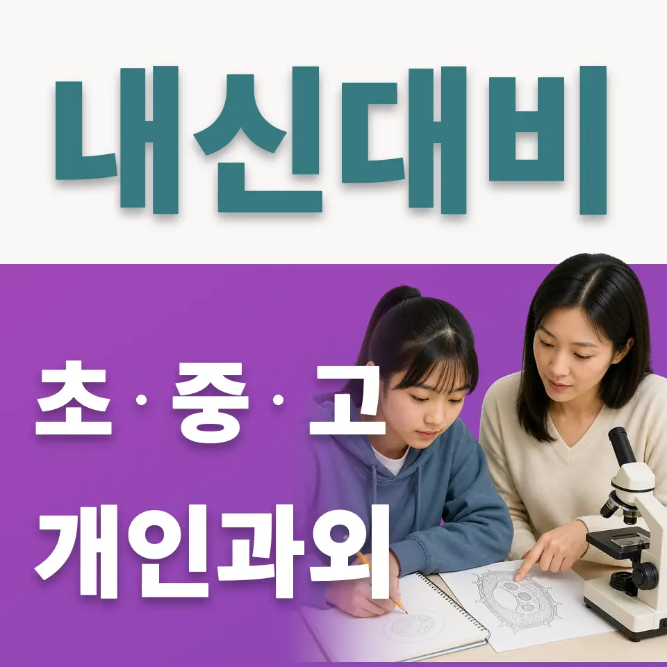 흥인동 고등 사회과외 학습 안내