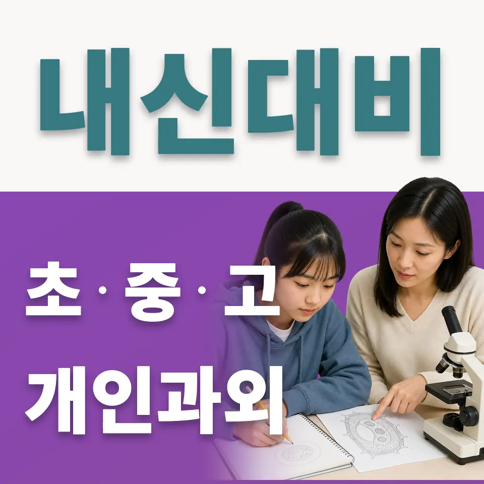 배화여중 사회과외 학습 안내