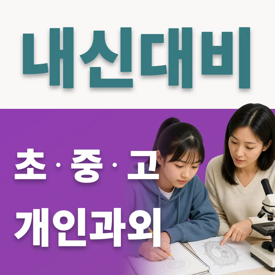 선사초 사회과외 학습 안내